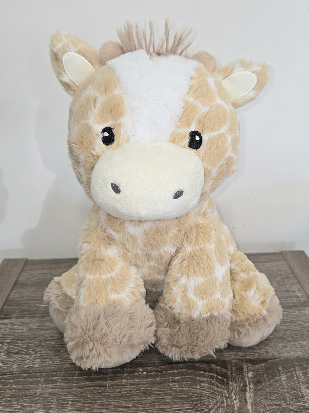 Rachel Zoe Baby Rattle Safari Baby Giraffe Stuffed Animal Plush Toy 11" PLEASE